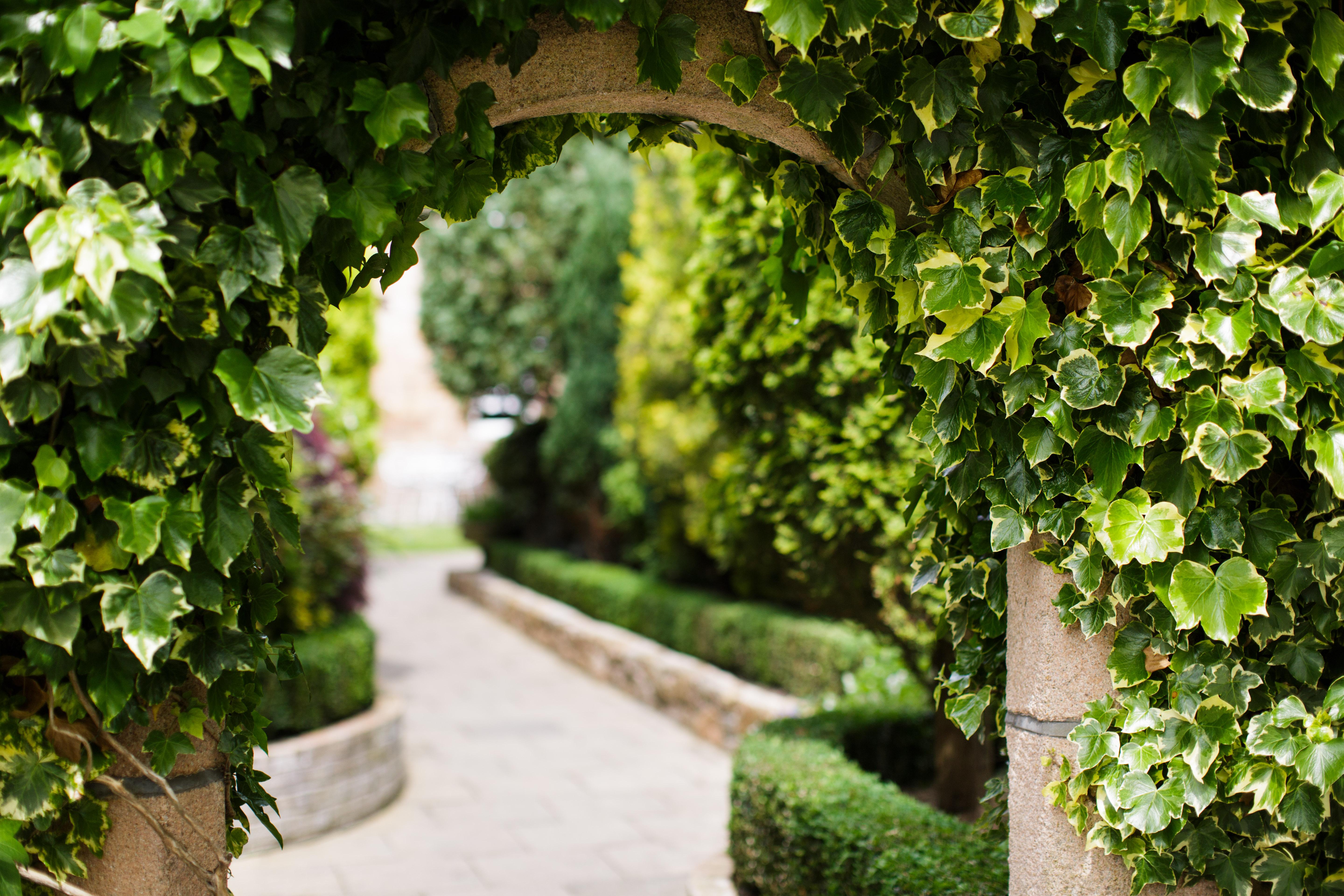 Greenhills Country Hotel Saint Peter المظهر الخارجي الصورة
